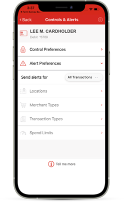 CardControls_Debit-Alert-Screen-1.png
